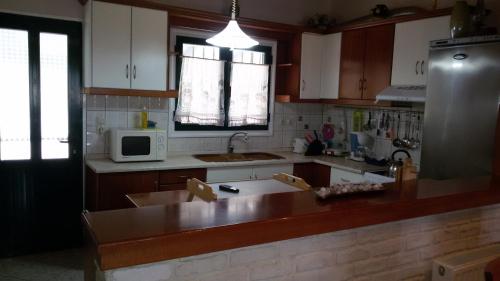 a kitchen with a sink and a microwave at Villa Thanos in Marathias
