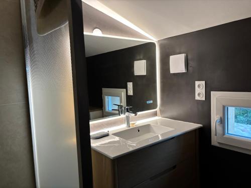 a bathroom with a sink and a mirror at Maison récente dans la nature in Roquebrune-sur-Argens