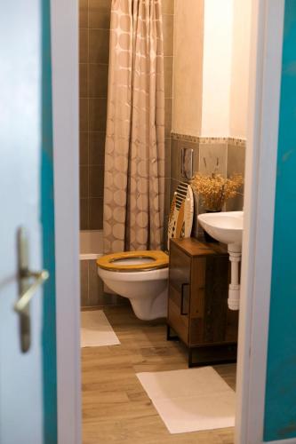 a bathroom with a toilet and a sink at Nie Samym Chlebem in Poborszów