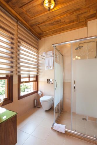 a bathroom with a shower and a toilet at Ferman Konak Hotel-Special Category in Istanbul