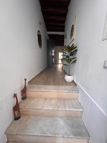Faro Station Retreat