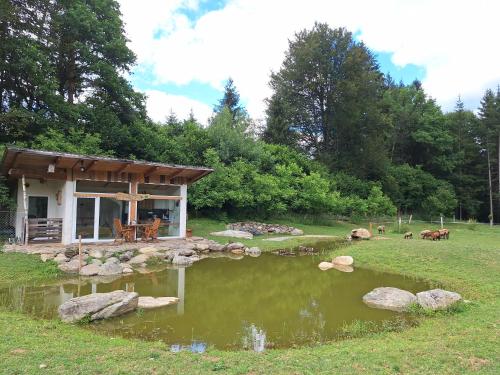 a small house with a pond in the yard at Froschteichhäuschen - Natur und Wellness in Spitzwiesen
