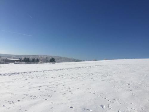 a snowy field with footprints in the snow at Apartmán Kovářská u Klínovce in Kovářská