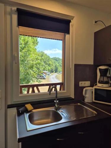 a kitchen with a sink and a window at Studio Le Vedeur in Durbuy