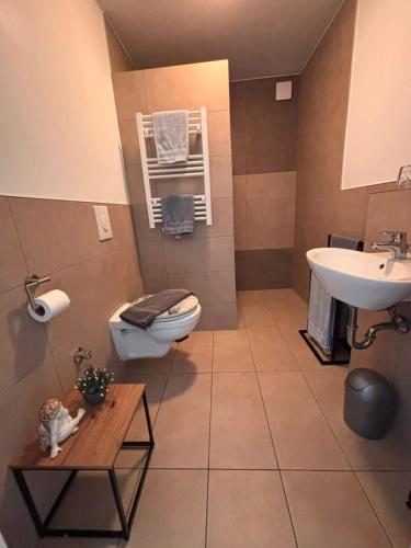a bathroom with a toilet and a sink at Am Dollespark in Bodenheim