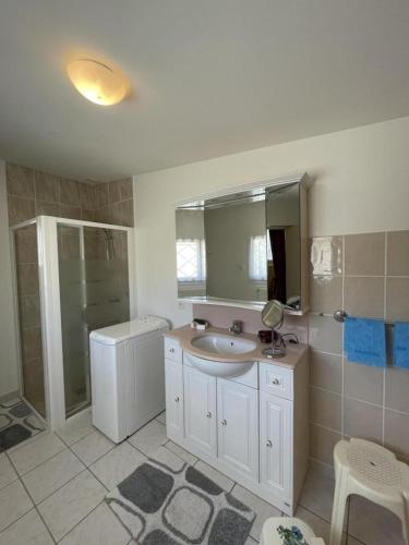 a bathroom with a sink and a shower and a mirror at Gîte de la lionnaire in Orches