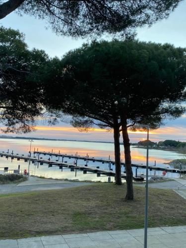 Vue Lac Ponant Piscine Parking Clim 4 Pers