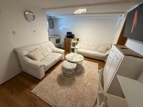 a living room with a couch and a table at LaSa Apartment 2 in Villingen-Schwenningen