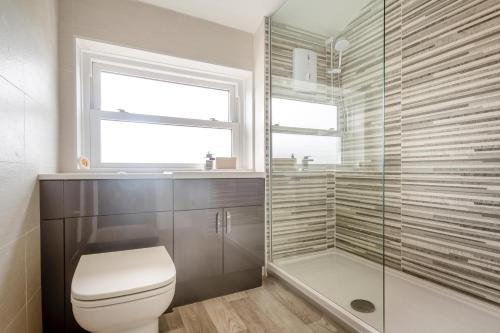 a bathroom with a toilet and a shower and a window at 2 Bed in Llanfair oc-a30451 in Llanfair