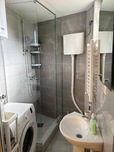 a bathroom with a washing machine and a sink at Apartman Lala in Nova Varoš