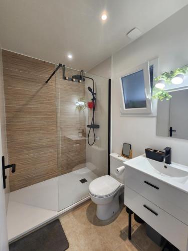 a bathroom with a shower and a toilet and a sink at Chambre chez Rena in Saint-Jean-de-Luz