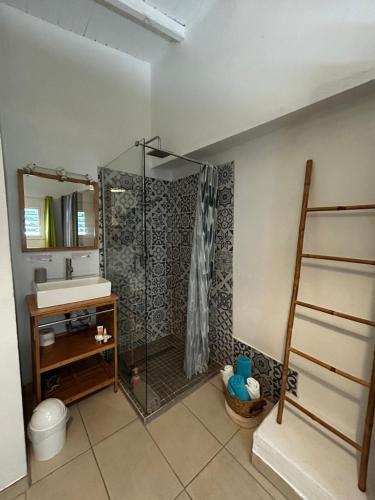a bathroom with a shower and a sink at Petit Havre Bleu in Le Gosier