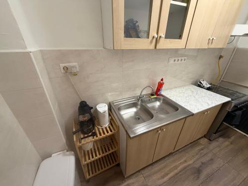 a small kitchen with a sink and a toilet at Carlos Apartman Kecskemét in Kecskemét