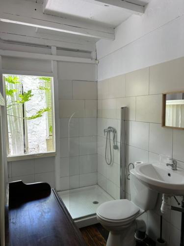 a bathroom with a shower and a toilet and a sink at Casa Papaya in Marigot