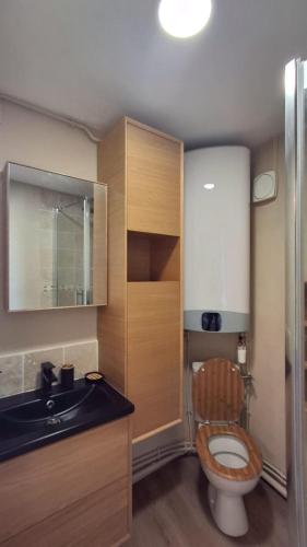 a small bathroom with a toilet and a sink at Cozy high-altitude apartment in Font-Romeu-Odeillo-Via