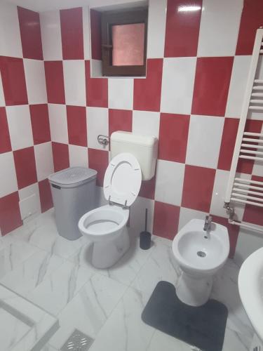 a bathroom with a white toilet and a sink at Danove geocom in Făgăraş