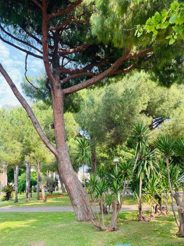 Magnifique 2 chambre au bord des plages centre de cannes entièrement climatisé