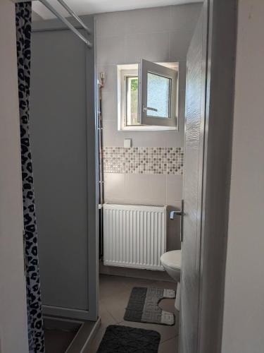 a bathroom with a sink and a toilet and a window at Prenoćište Lelić in Valjevo