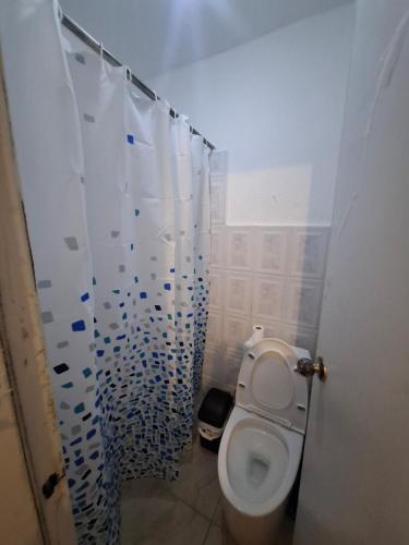 a bathroom with a toilet and a shower curtain at Acogedor Departamento Entero in Hornillo