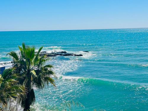a palm tree on a beach with the ocean at Rental Higueron Boutique Resort in Fuengirola