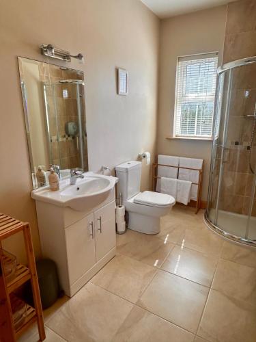 a bathroom with a toilet and a sink and a shower at Fairy Fort View, Lahinch in Carrowauff