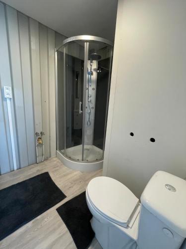 a bathroom with a toilet and a large mirror at Maison familiale in Froid-Chapelle