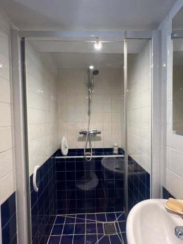 a bathroom with a shower and a sink at La Maison du Tisserand maison entière à Bécherel in Bécherel