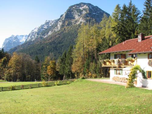 a house in a field with a mountain in the background at Landhaus am Waldrand in Ramsau