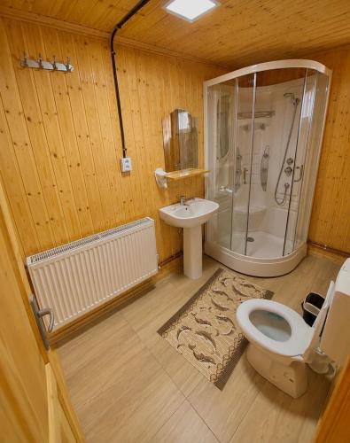 a bathroom with a shower and a toilet and a sink at Cabana Elena in Gârda de Sus
