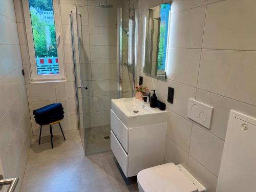 a bathroom with a toilet and a sink and a shower at Idar Apartment 2 in Idar-Oberstein