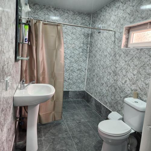 a bathroom with a toilet and a sink and a shower at Сабудара in Martvili