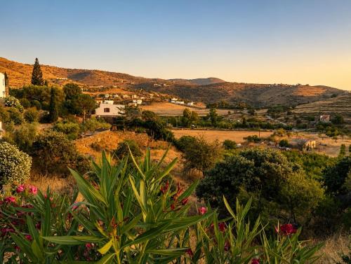 a view of a village from a hill with flowers at Our Kea apartment in Otziás