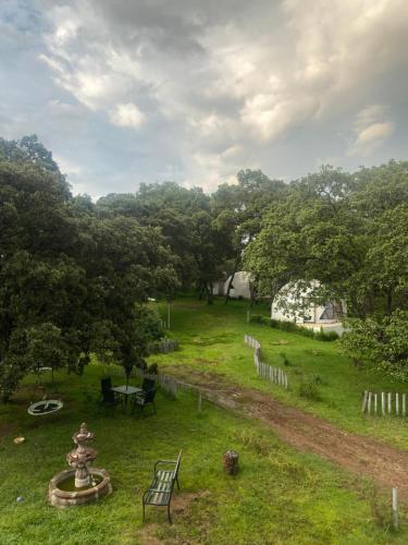 a view of a yard with a fountain and trees at GlampingWoodzen in Villa del Carbón