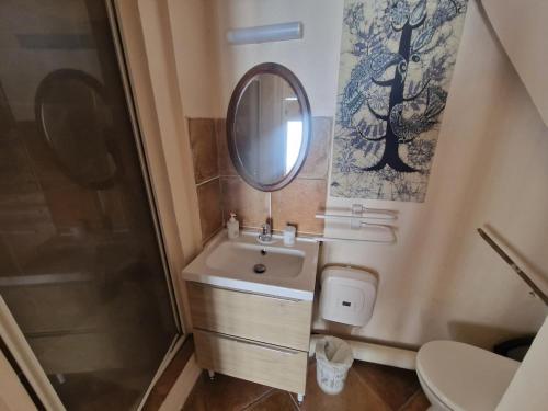 50 m2 loft with vaulted ceilings center of Montpellier