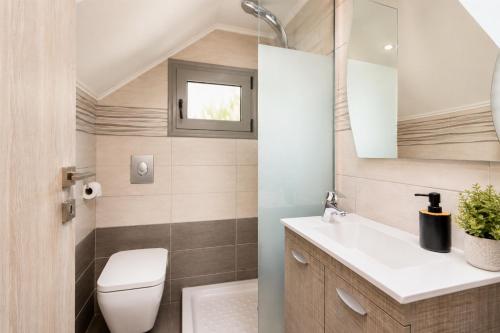 a bathroom with a toilet and a sink and a mirror at Villa Ammos in Afantou
