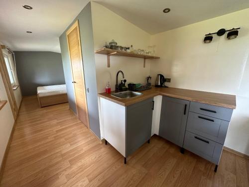 a kitchen with a sink and a counter top at Vienmerjura in Benuži