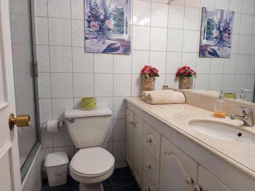 a bathroom with a toilet and a sink at Hostal Rucatremo in Curicó