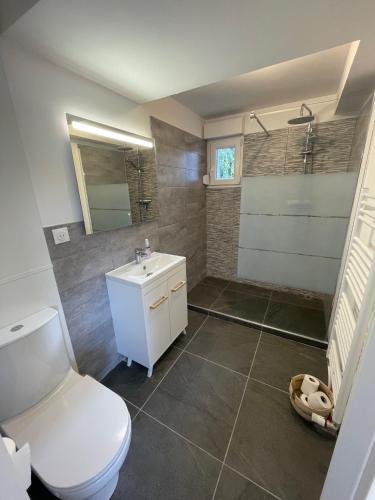 a bathroom with a white toilet and a sink at Maison avec accès piscine partagée in Colmar