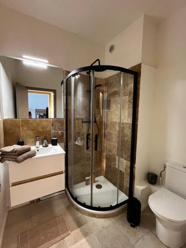 a bathroom with a shower and a toilet at Céret hyper centre - Cozy T2 in Céret