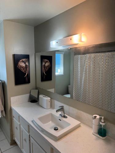 a bathroom with a sink and a mirror at Cozy nest in Coquitlam