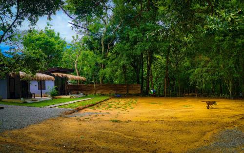 a dog walking in a yard next to a house at EMERALD HAVEN Safari Glamping in Udawalawe
