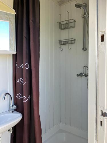 a bathroom with a shower and a sink at Strandelijk plekje in Nieuwerkerk
