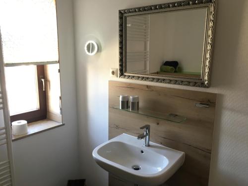 a bathroom with a sink and a mirror at Ferienwohnungen "Am Mühlteich" in Radeburg