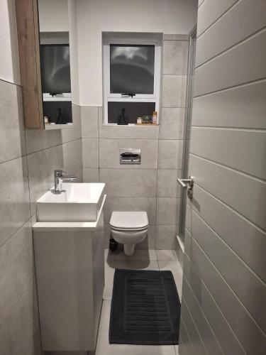 a bathroom with a sink and a toilet and two windows at SafeHaven 45 in George