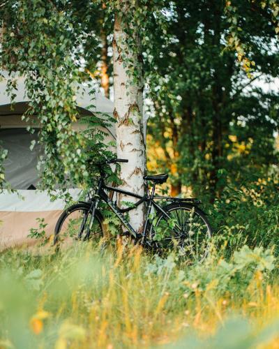 a bike is parked next to a tree at Jurtowisko in Wilcza Wólka