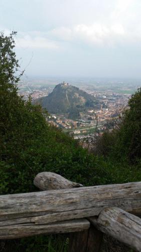 a wooden bench sitting on top of a hill at Affittacamere Cà Marcello in Monselice