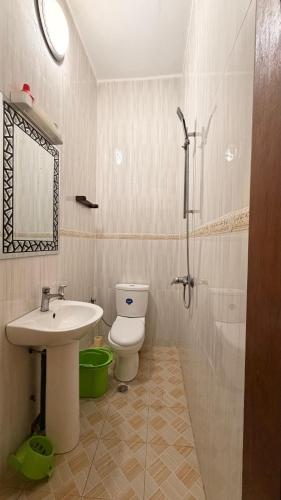 a bathroom with a sink and a toilet and a shower at Adelhouse in Saint-Louis