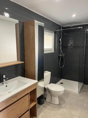 a bathroom with a toilet and a sink and a shower at Le studio signature in Vedène