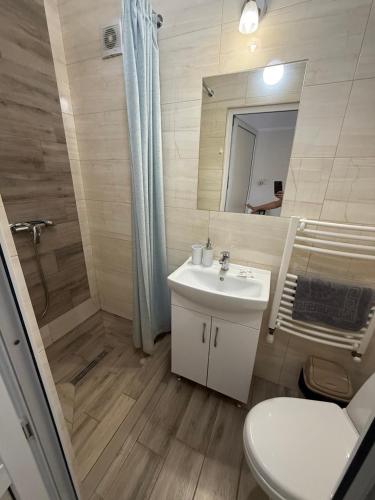a bathroom with a toilet and a sink and a shower at Hotel ELYSIUM in Irshava