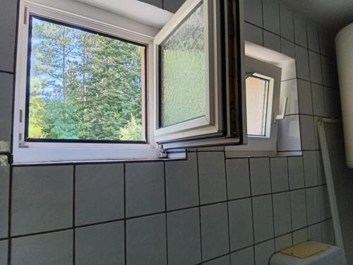 a bathroom with a window and a tiled wall at Ljiljana apartmani Banja Vrujci in Rakari